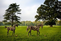 Driftwood horses