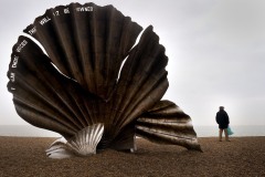 Shell sculpture