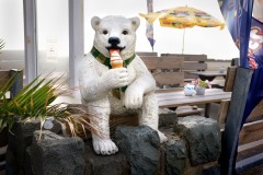 Ice cream bear