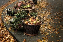 Leominster apples