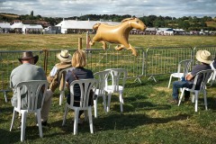 Tenbury Show