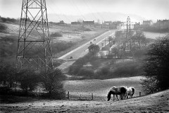 Blackbrook Valley