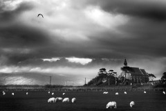 Church Borth.