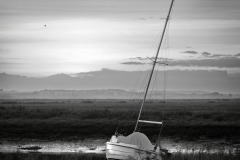 Dusk Blakeney